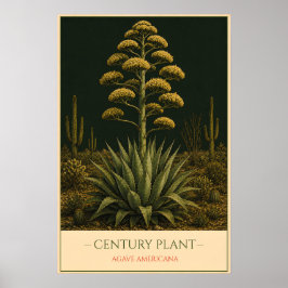 Agave – Illustratie van oude botanische afbeelding Poster