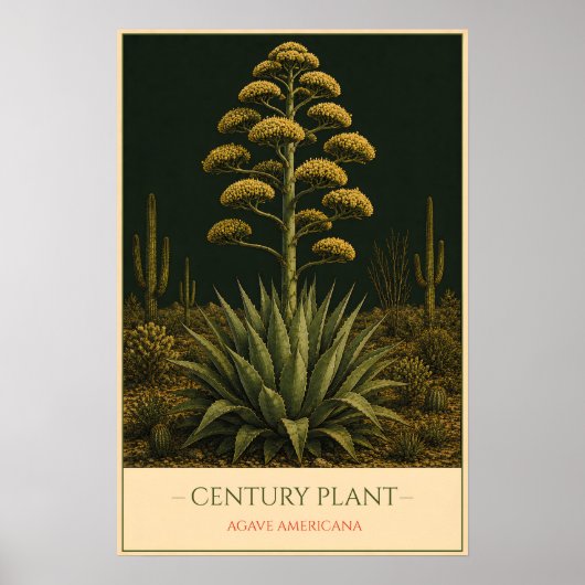 Agave – Illustratie van oude botanische afbeelding Poster (Voorkant)