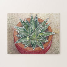 Agave in de pot-puzzel
