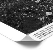 Agave in Deep Canyon Desert Research Station Poster (Hoek)