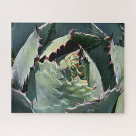 Agave indrukken, gedetailleerde foto, legpuzzel