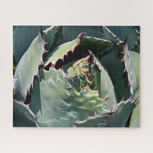 Agave indrukken, gedetailleerde foto, legpuzzel (Horizontaal)