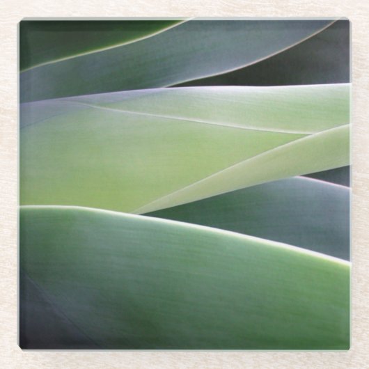 Agave Leaves Glazen Onderzetter (Voorkant)