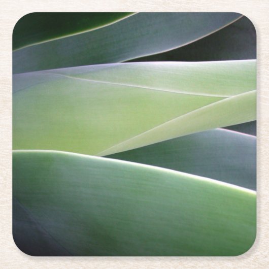 Agave Leaves Kartonnen Onderzetters (Voorkant)