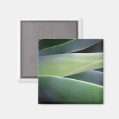 Agave Leaves Magneet (Voorkant / Achterkant)