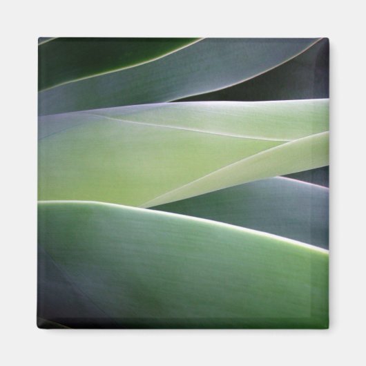 Agave Leaves Magneet (Voorkant)