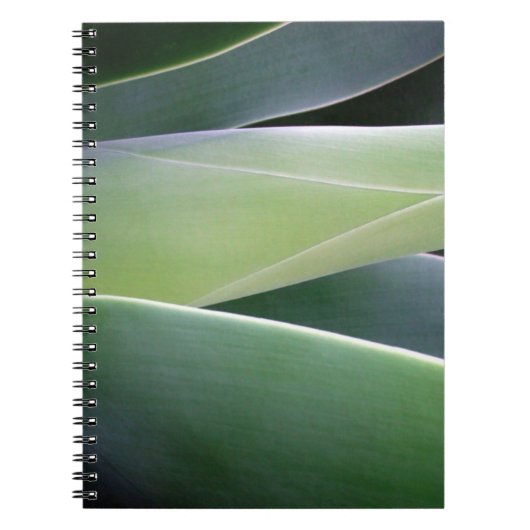 Agave Leaves Notitieboek (Voorkant)