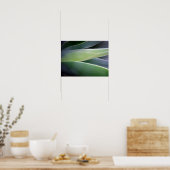 Agave Leaves Poster (Keuken)
