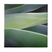 Agave Leaves Tegeltje (Voorkant)