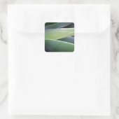 Agave Leaves Vierkante Sticker (Tas)