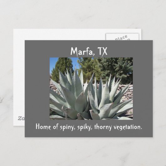 Agave Marfa, Texas Briefkaart (Voorkant / Achterkant)