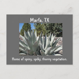 Agave Marfa, Texas Briefkaart