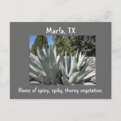 Agave Marfa, Texas Briefkaart (Voorkant)