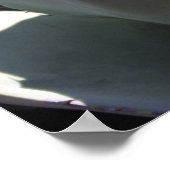 Agave parryi poster (Hoek)