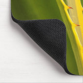 Agave Plant Abstract Muismat (Hoek)