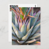 Agave plant Briefkaart (Voorkant / Achterkant)