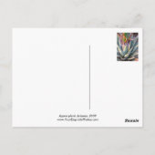 Agave plant Briefkaart (Achterkant)