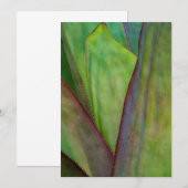 Agave Plant Detail Bedankkaart (Voorkant / Achterkant)