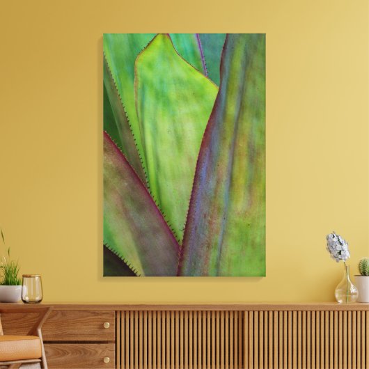 Agave Plant Detail Canvas Afdruk (Insitu (Woonkamer))