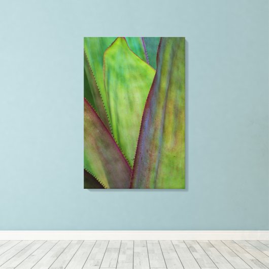 Agave Plant Detail Canvas Afdruk (Insitu (Houten vloer))