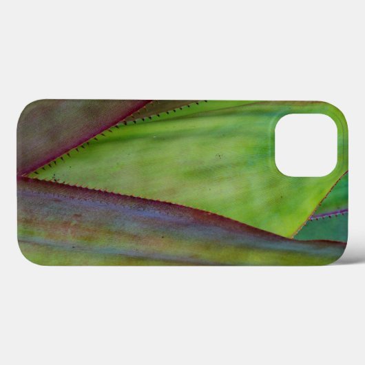 Agave Plant Detail Case-Mate iPhone Case (Achterkant (horizontaal))