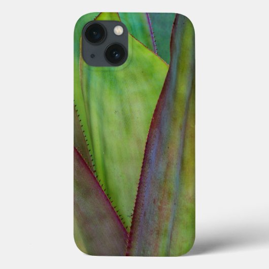 Agave Plant Detail Case-Mate iPhone Case (Achterkant)