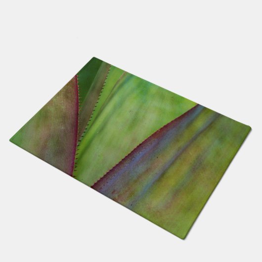 Agave Plant Detail Deurmat (Schuin)