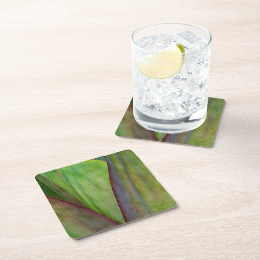 Agave Plant Detail Kartonnen Onderzetters (Insitu)