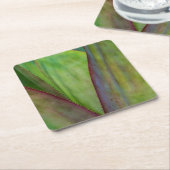 Agave Plant Detail Kartonnen Onderzetters (Schuin)