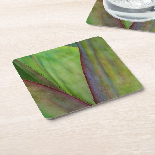 Agave Plant Detail Kartonnen Onderzetters (Schuin)