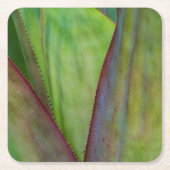 Agave Plant Detail Kartonnen Onderzetters (Voorkant)