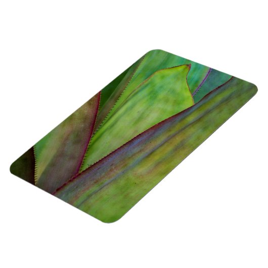 Agave Plant Detail Magneet (Linkerzijde)