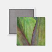 Agave Plant Detail Magneet (Voorkant / Achterkant)