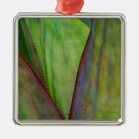 Agave Plant Detail Metalen Ornament (Voorkant)