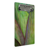 Agave Plant Detail Mini Klembord (Schuin)