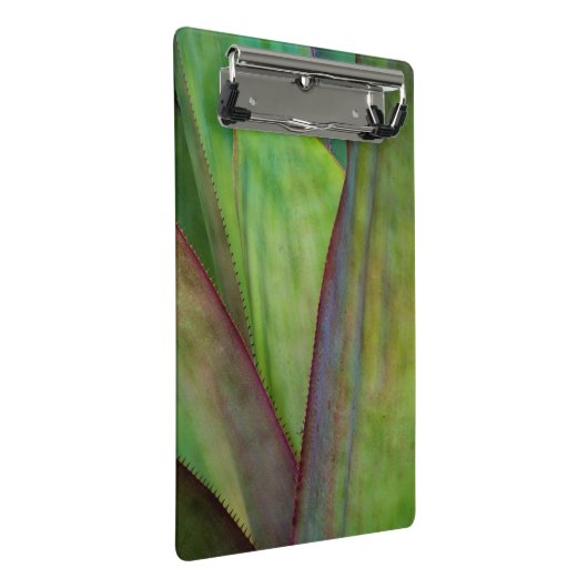 Agave Plant Detail Mini Klembord (Schuin)