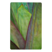Agave Plant Detail Mini Klembord (Achterkant)