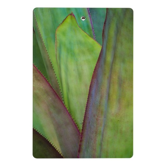 Agave Plant Detail Mini Klembord (Achterkant)