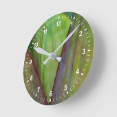 Agave Plant Detail Ronde Klok (Hoek)