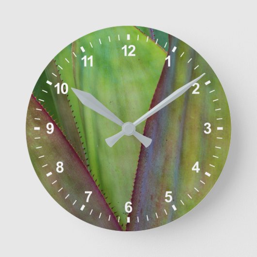 Agave Plant Detail Ronde Klok (Voorkant)