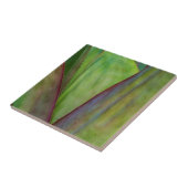 Agave Plant Detail Tegeltje (Zijkant)