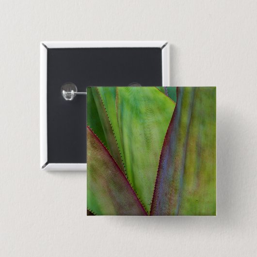 Agave Plant Detail Vierkante Button 5,1 Cm (Voorkant /achterkant)