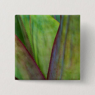Agave Plant Detail Vierkante Button 5,1 Cm