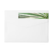 Agave Plant Green en White Striped (Achterkant)