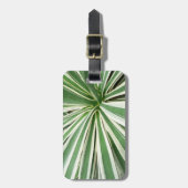 Agave Plant Green en White Striped Bagagelabel (Voorkant verticaal)