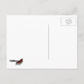 Agave Plant Green en White Striped Briefkaart (Achterkant)