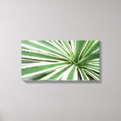 Agave Plant Green en White Striped Canvas Afdruk (Voorkant)