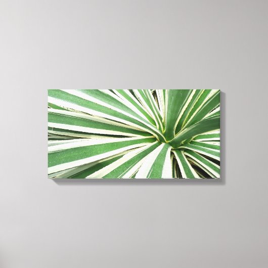Agave Plant Green en White Striped Canvas Afdruk (Voorkant)