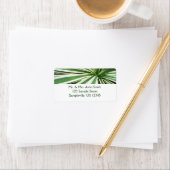 Agave Plant Green en White Striped Etiket (Insitu)