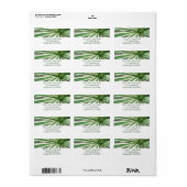 Agave Plant Green en White Striped Etiket (Full Sheet)